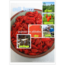 rote Ningxia Goji-Beere / Wolfberry-Frucht / chinesischer Mispel sät rote Ningxia Goji-Beere / Wolfberry-Frucht / chinesische Mispelsamen